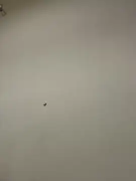 Eva_stark10n Live XXX chat