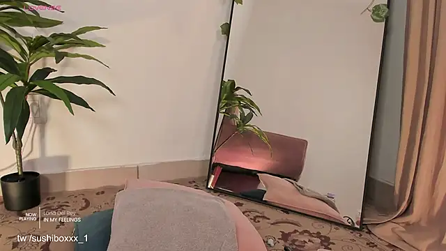 sushiboxxx Webcamshow