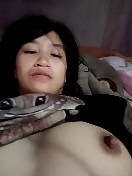 han-camx 网络视讯表演