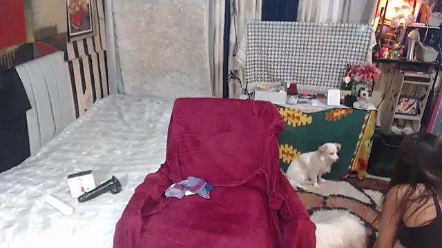 Chat XXX Live Andreasabrinafox