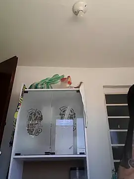 gabii_hardy Chat XXX in diretta