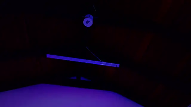 Kelly_Swift live XXX chat