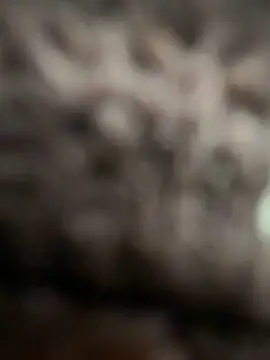 Elli-luna Webcam-Show