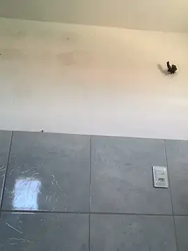 Chat XXX Live Gabrielleof