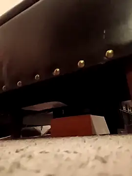 Chat XXX Live sissytrapdolly24