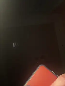 Chat +18 de Flossy_Vettie ao vivo