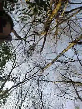 MaitresseMermaid webcam show