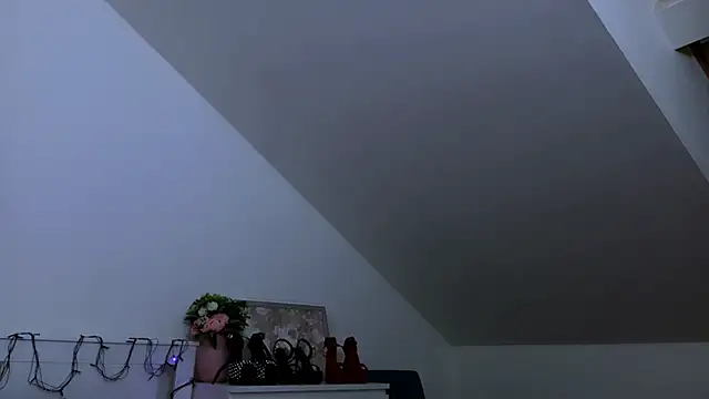 Webkamerová show GabiCarter