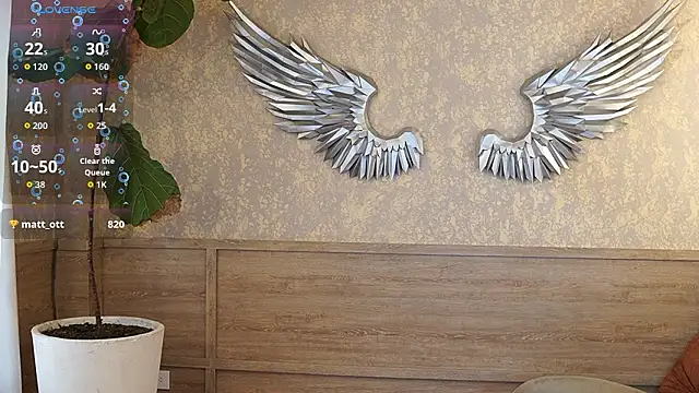 แชท XXX สดของ Ethan_occonor