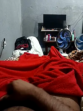 Show webcam de Mailsonp