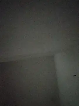 Show webcam de ROSE099