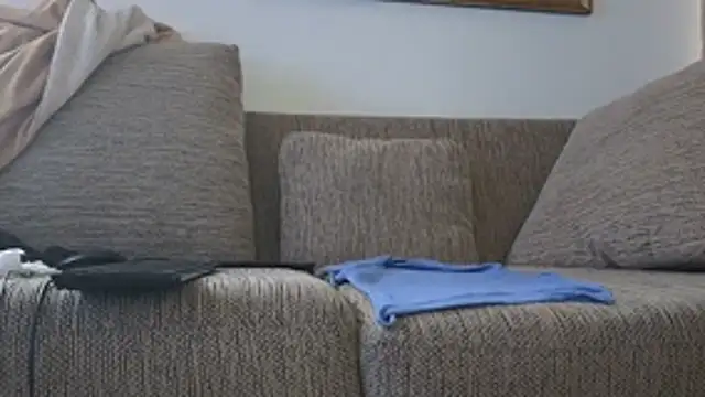 CDforU Pertunjukan Webcam