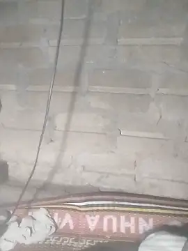 Yang-my- 在線直播表演