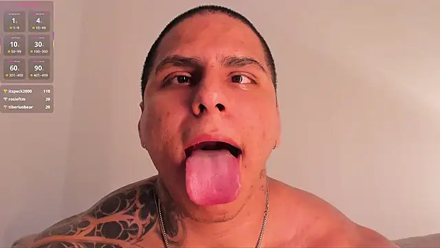 MAXIMO_SRn Webbikameraesitys