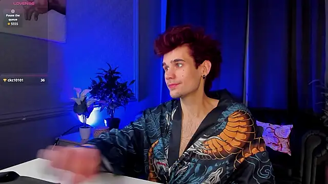 Show webcam de trevor_dreams