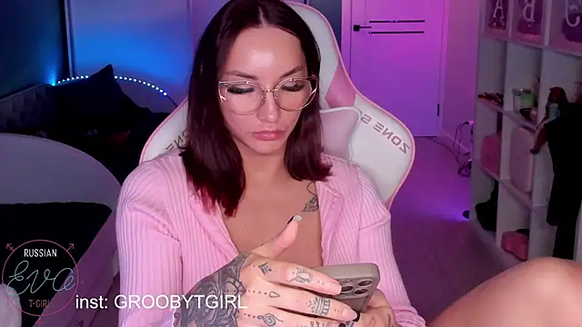 SibylVexn Webbikameraesitys