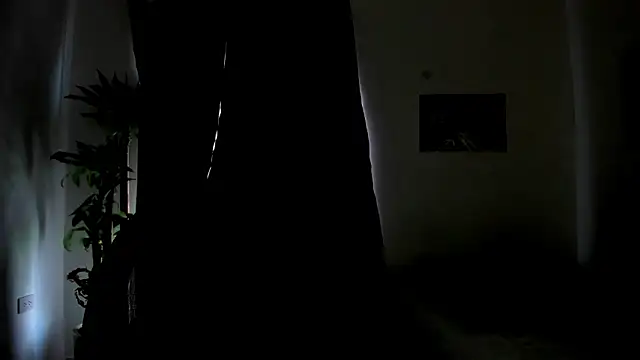 Вебкам-шоу Catty_Noir