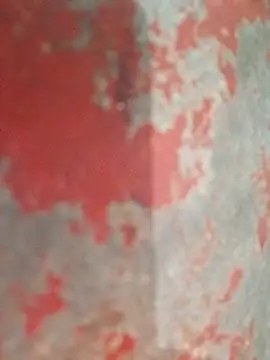 contagiousqueen's Webcam Show