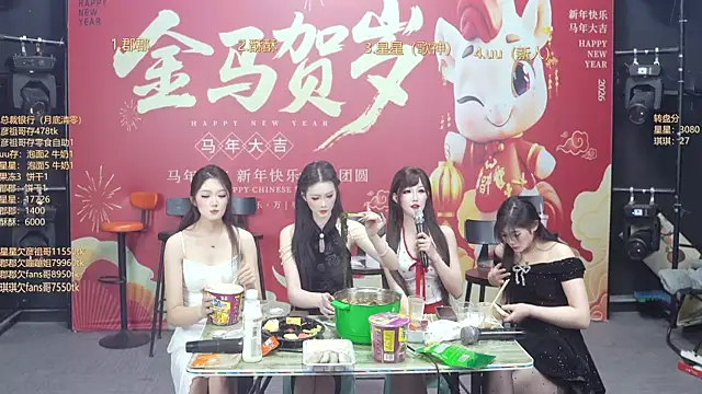 Show Webcam de A848-01