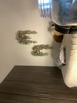 valeria2019hot: απευθείας συνομιλία ΧΧΧ