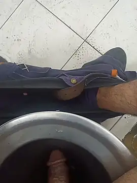 Stallionbull37 webcam show