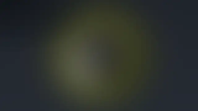 Bastet Live XXX Chat