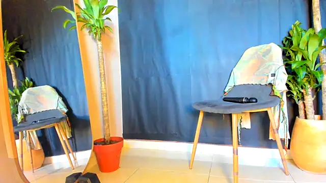 Show webcam de papipills