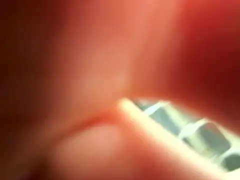 Chatroom XXX en direct de Wild_Jaz69