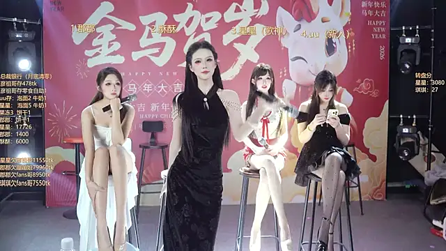 A848-01 网络视讯表演