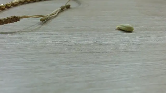 Cholatin 在線直播表演