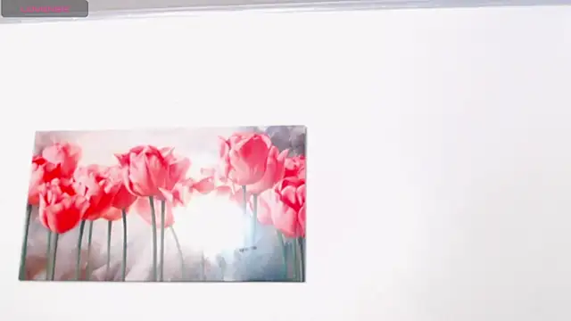 pinky_f00x Live XXX Chat