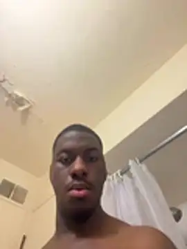 ThickDic28 Show in webcam