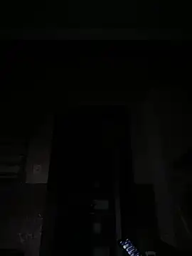 Chatroom XXX en direct de Flossy_Vettie