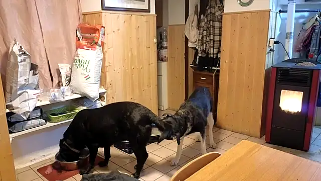 VanessaDoyle Webcam show