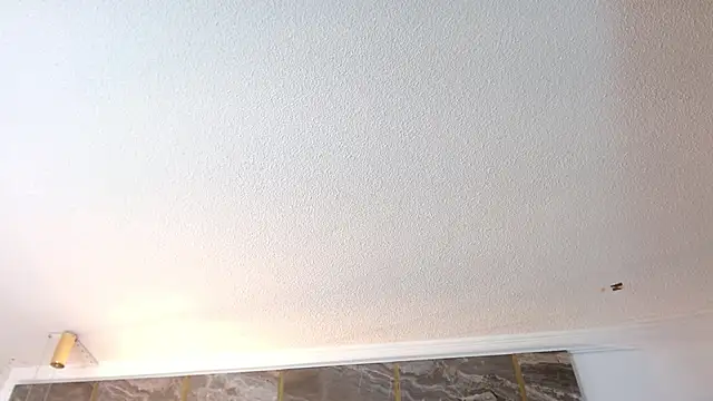 Miia_moonroe Adlı Modelin Canlı XXX Sohbeti