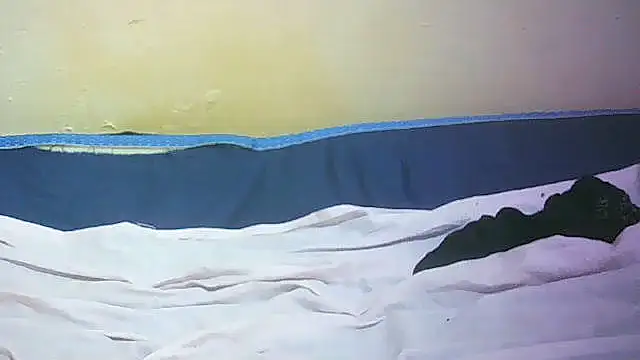 Sweet800 Show Webcam