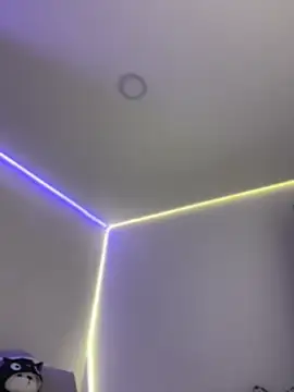 XXX chat uživo modela AmmyCollinsW