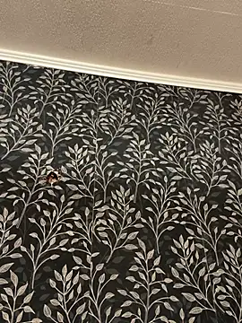 XXX chat uživo modela Evelin199