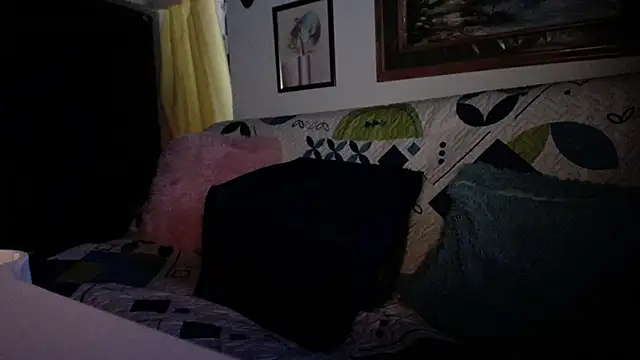 Merry-Olsen Adlı Modelin Web Kamerası Şovu