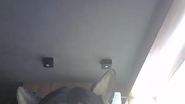 Show Webcam de SkinnyKitten