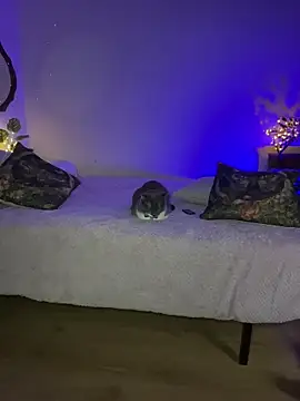 Chat +18 de Cinamoonn ao vivo