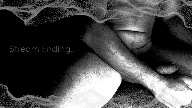 MeDDussa_n Webbikameraesitys