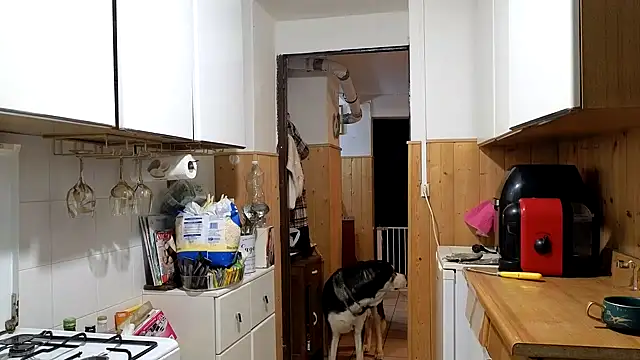 Chat XXX Live VanessaDoyle