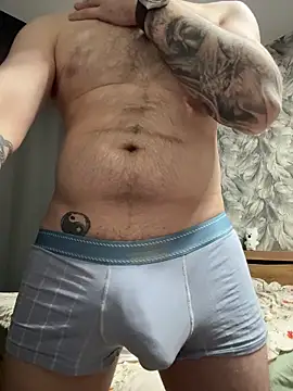 Show Webcam de HermanFire