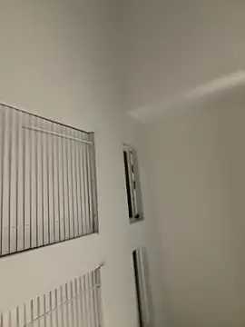 ZF-Athlete Live XXX-Chat