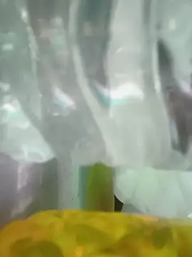 babydollcutyyyyy Live XXX Chat