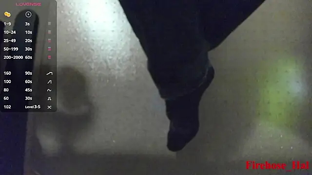 Show webcam de FireHose_Hal