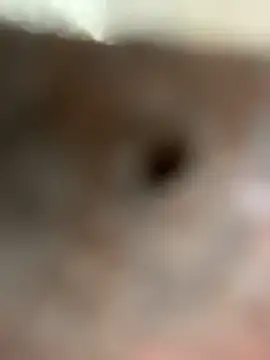 Вебкам-шоу Bamby08