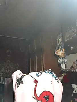 Apelsinkaa Webcam Show