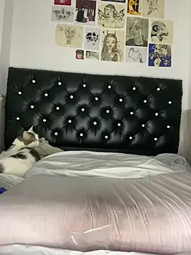 VenusDeMilo_55のライブXXXチャット